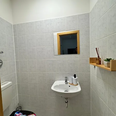 Arminos Large Group Apartment- 3 & 2 Wcs Apartamento Chemnitz